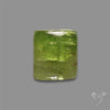 Mint Green Kyanite Cabochon