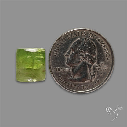Mint Green Kyanite Cabochon