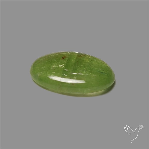 Mint Green Kyanite Cabochon