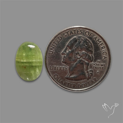Mint Green Kyanite Cabochon