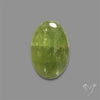Mint Green Kyanite Cabochon