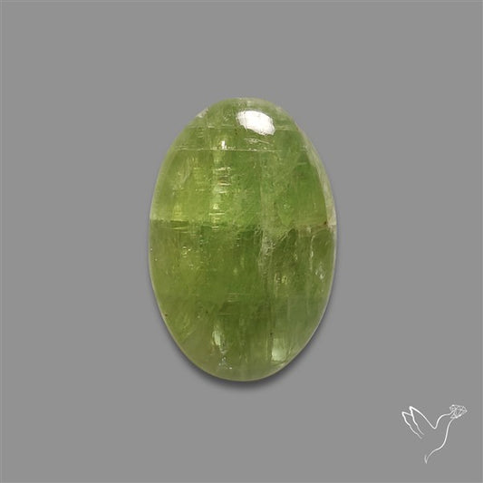 Mint Green Kyanite Cabochon