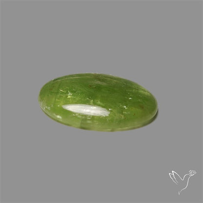 Mint Green Kyanite Cabochon