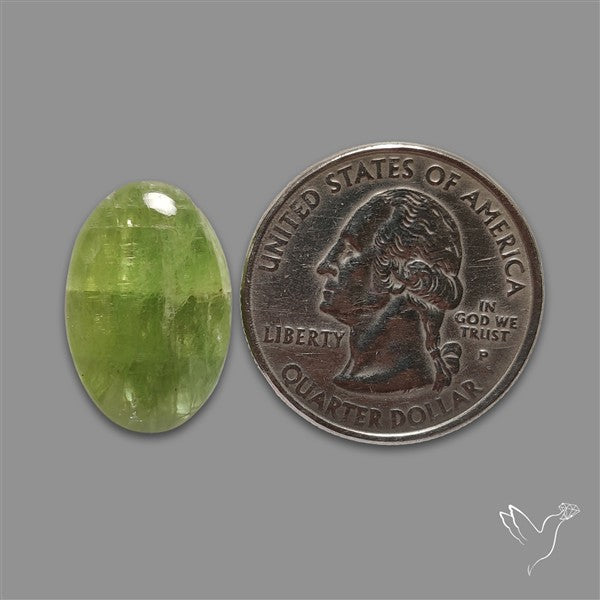 Mint Green Kyanite Cabochon