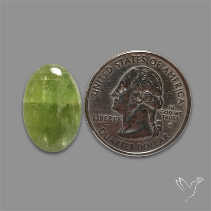 Mint Green Kyanite Cabochon
