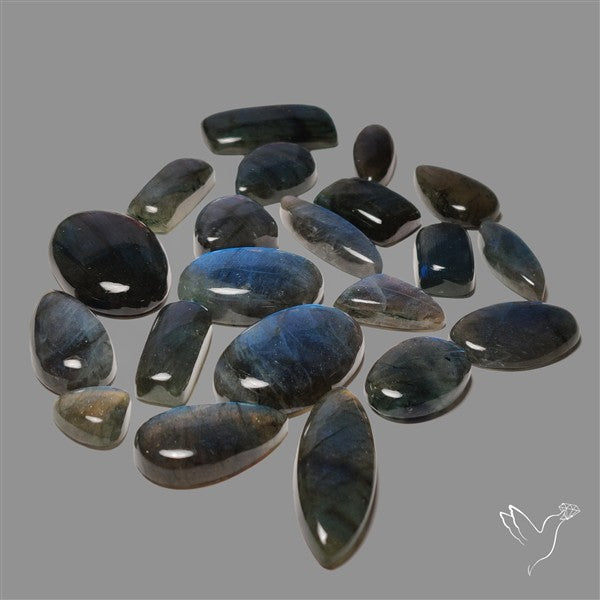 100 Grams Deep Blue Labradorite Cabochons Bulk Lot
