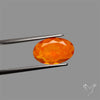 Faceted Mexican Fire Opal