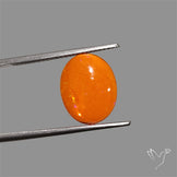 Mexican Fire Opal Cabochon