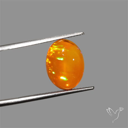 Mexican Fire Opal Cabochon