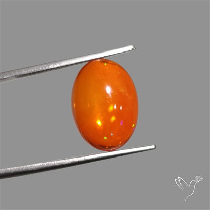 Mexican Fire Opal Cabochon
