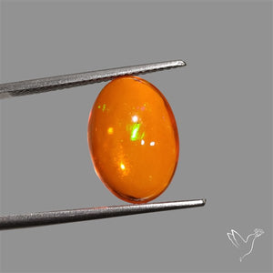 Mexican Fire Opal Cabochon