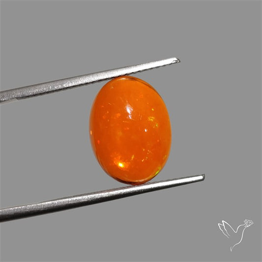 Mexican Fire Opal Cabochon