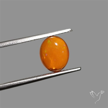 Mexican Fire Opal Cabochon