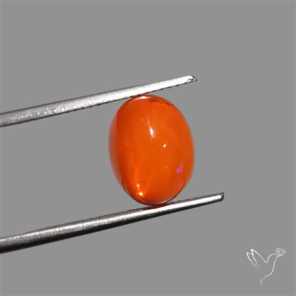 Mexican Fire Opal Cabochon