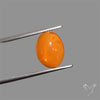 Mexican Fire Opal Cabochon