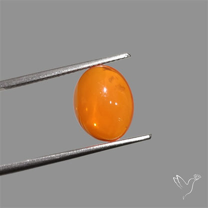 Mexican Fire Opal Cabochon