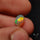AAA Ethiopian Welo Opal Cabochon