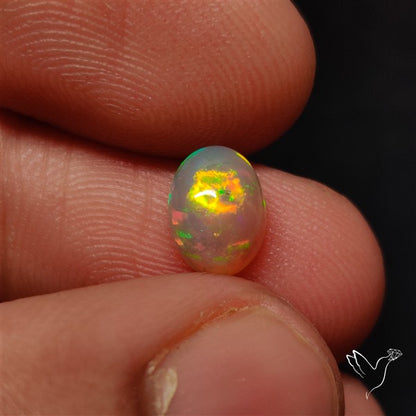 AAA Ethiopian Welo Opal Cabochon