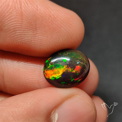 AAA Ethiopian Black Opal Cabochon Smoked