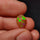 Rose Cut Ethiopian Welo Opal