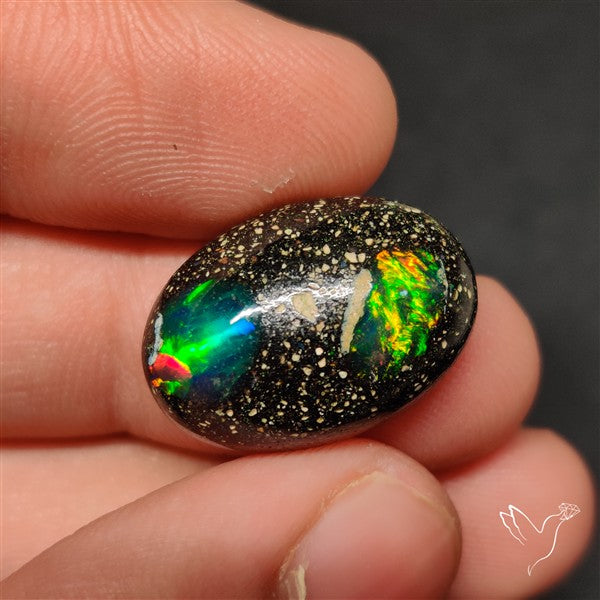 Boulder Galaxy Ethiopian Black Opal Inlay Cabochon