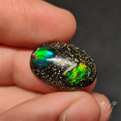 Boulder Galaxy Ethiopian Black Opal Inlay Cabochon