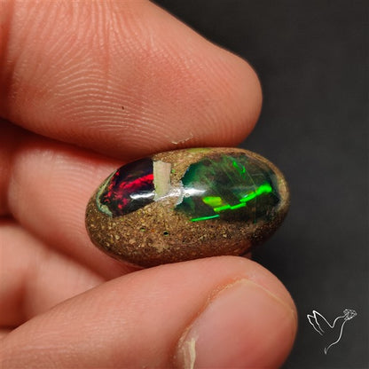 Boulder Galaxy Ethiopian Black Opal Inlay Cabochon