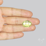Checker Cut Faceted Green Gold Lemon Quartz