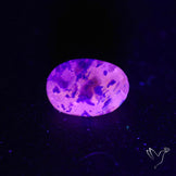 Malagasy Rare Quartz with Lazulite Inclusions