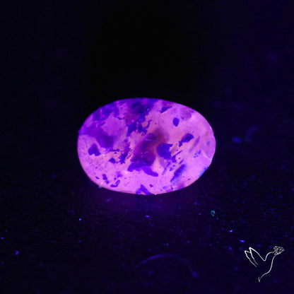 Malagasy Rare Quartz with Lazulite Inclusions