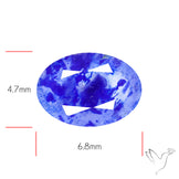 Malagasy Rare Quartz with Lazulite Inclusions