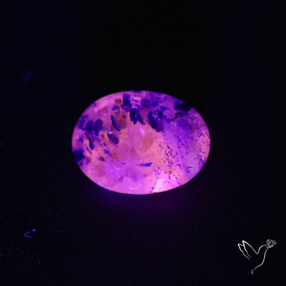 Malagasy Rare Quartz with Lazulite Inclusions