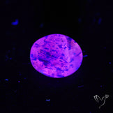 Malagasy Rare Quartz with Lazulite Inclusions