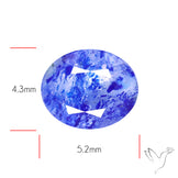 Malagasy Rare Quartz with Lazulite Inclusions