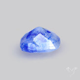Malagasy Rare Quartz with Lazulite Inclusions