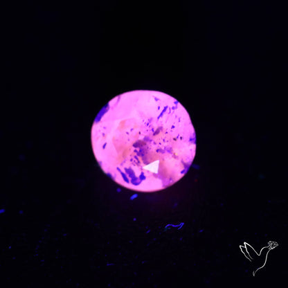 Malagasy Rare Quartz with Lazulite Inclusions