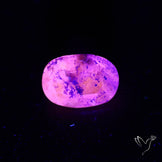 Malagasy Rare Quartz with Lazulite Inclusions