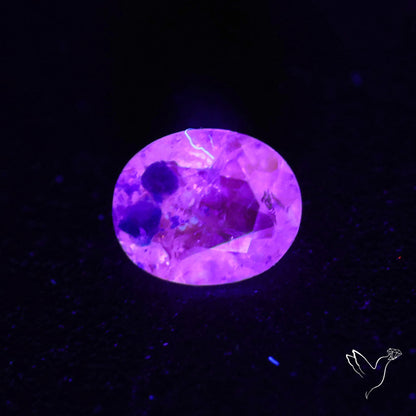 Malagasy Rare Quartz with Lazulite Inclusions