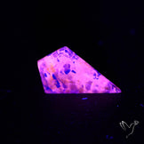 Malagasy Rare Quartz with Lazulite Inclusions
