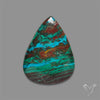 Parrot Wing Chrysocolla Cabochon