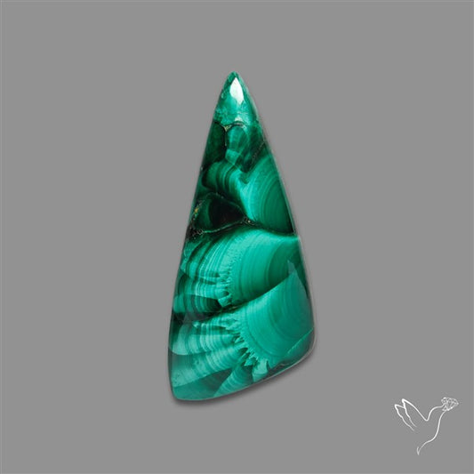 Bisbee Malachite with Chattoyancy Cabochon
