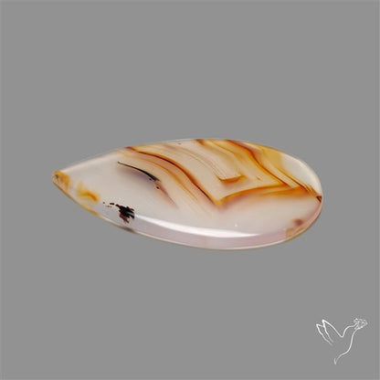 Montana Agate Cabochon