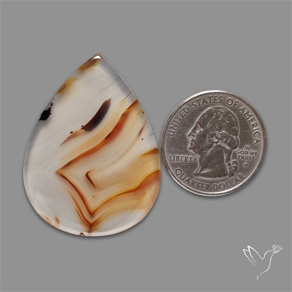 Montana Agate Cabochon