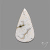 Orbicular Ocean Jasper Cabochon