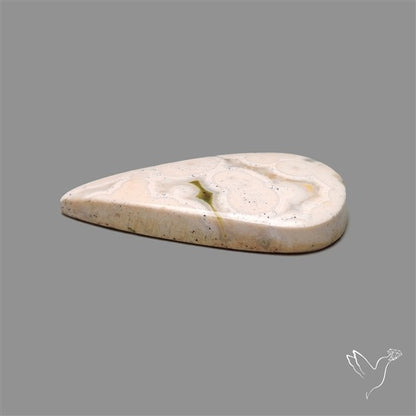 Orbicular Ocean Jasper Cabochon