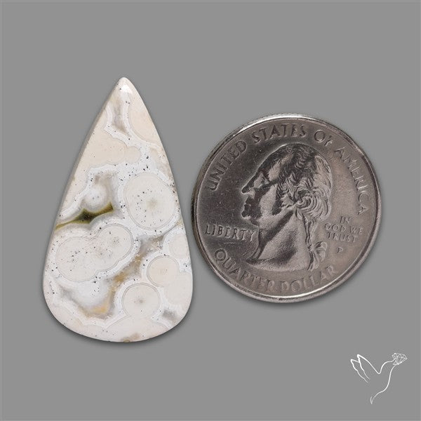 Orbicular Ocean Jasper Cabochon