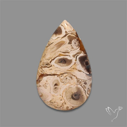 Indonesian Palmroot Agate Cabochon