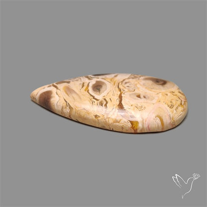 Indonesian Palmroot Agate Cabochon