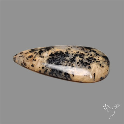 Australian Yellow Dendritic Agate Cabochon