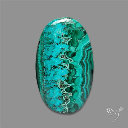 Chrysocolla In Malachite Cabochon
